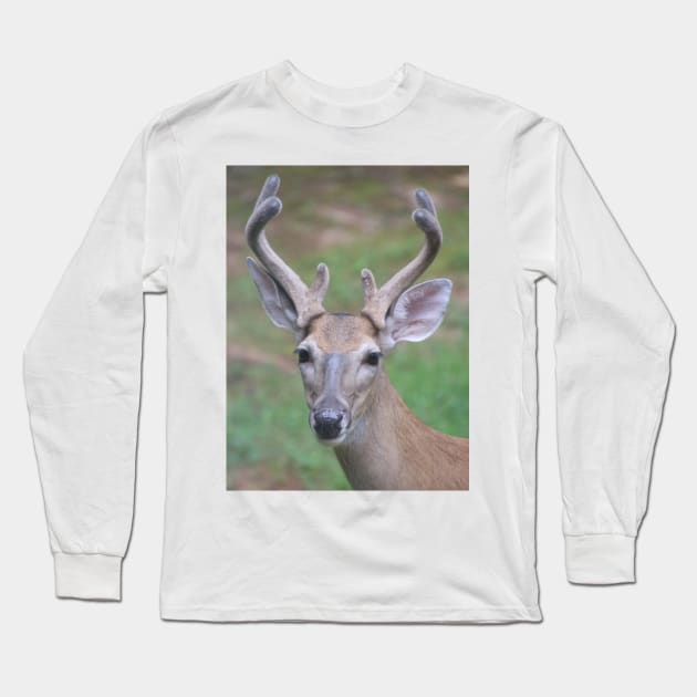 Antler Boy - white tailed deer Long Sleeve T-Shirt by SafariByMarisa